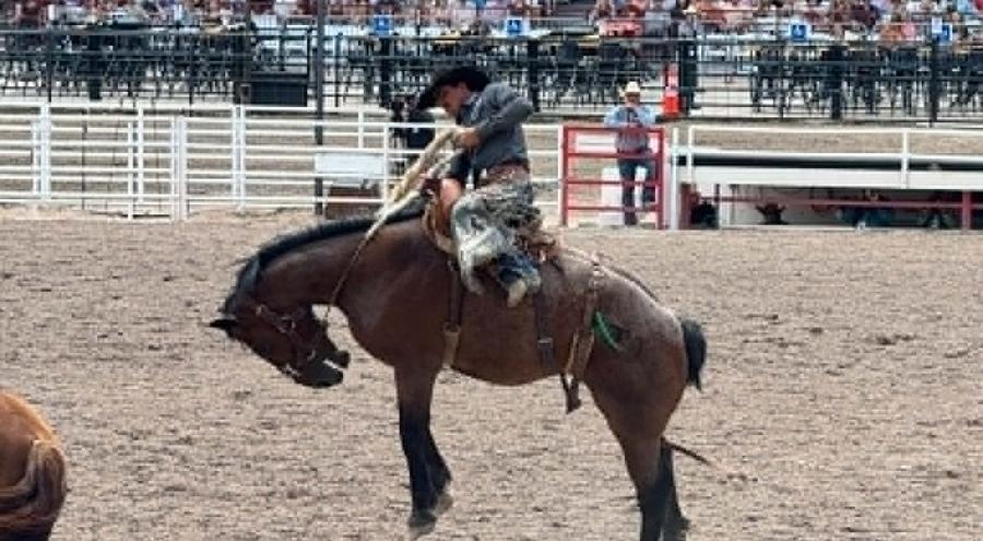 Cheyenne Frontier Days 2027